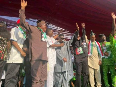 Peter Obi: Afenifere Leader, Adebanjo Insists It's Southerner's Turn To Become President