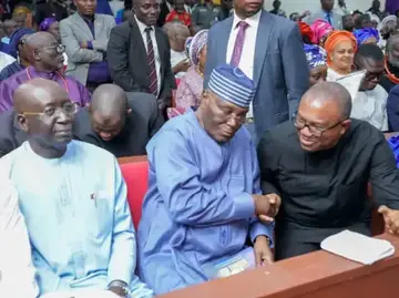 Peter Obi, Atiku Meet After Presidential Poll